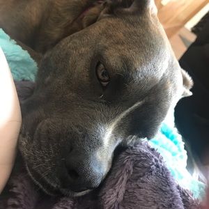 Meet your Posher, Meredith